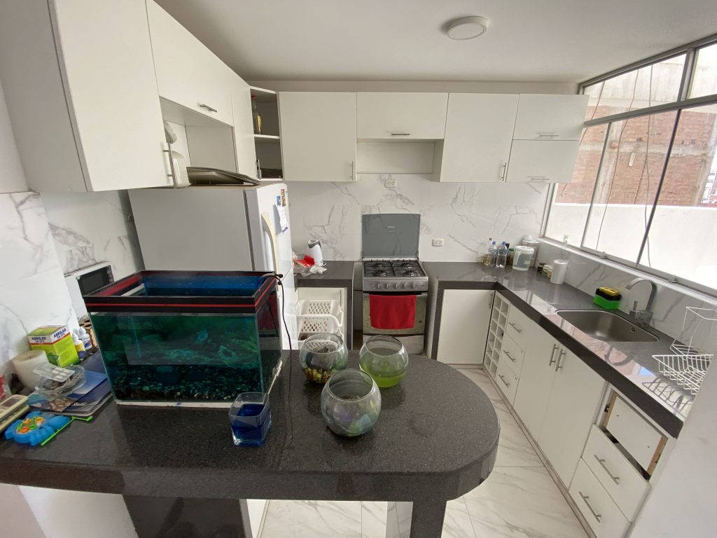 96419044-CA37-4A19-A89F-5C6BB50F652A