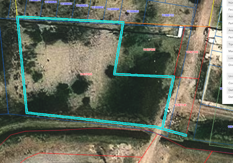 Captura de pantalla 2025-02-10 191204